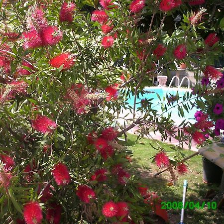 B&B Desenzano เดเซนซาโนเดลการ์ดา ภายนอก รูปภาพ