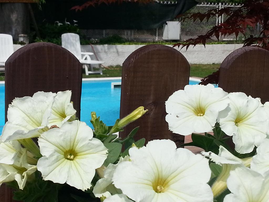 B&B Desenzano เดเซนซาโนเดลการ์ดา ภายนอก รูปภาพ