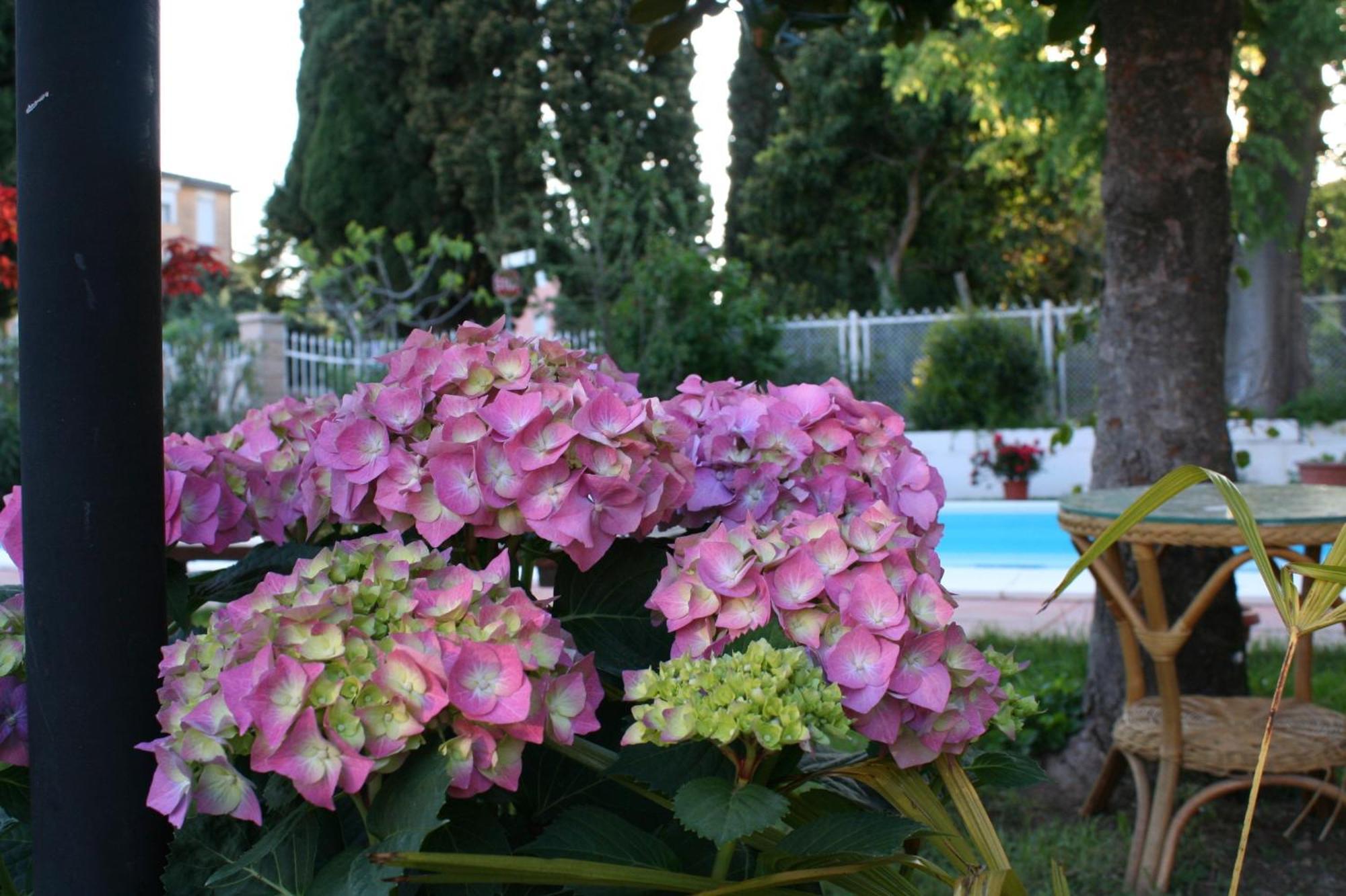 B&B Desenzano เดเซนซาโนเดลการ์ดา ภายนอก รูปภาพ
