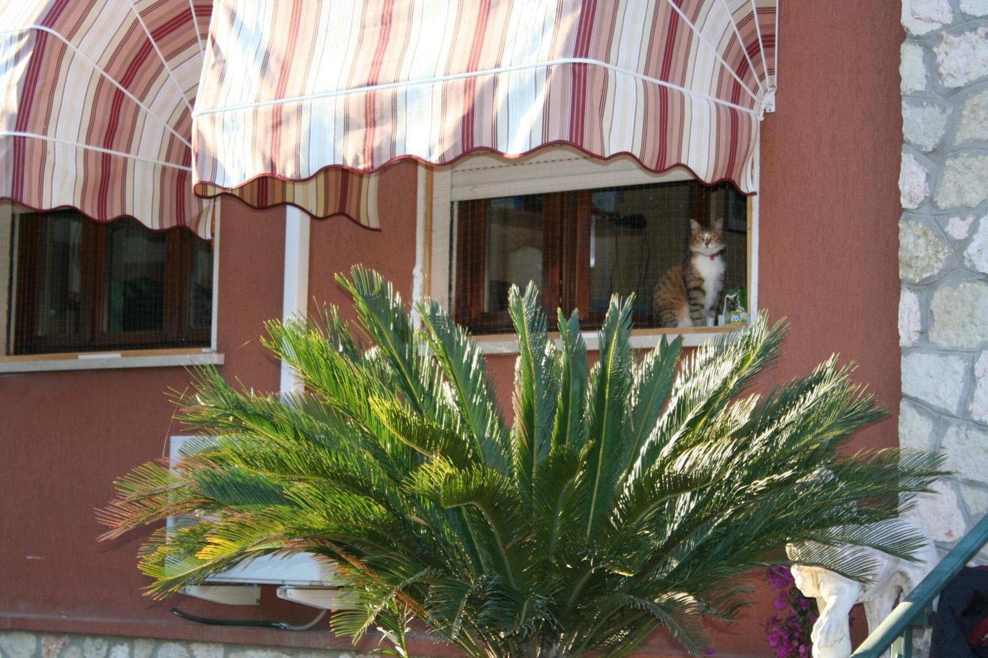 B&B Desenzano เดเซนซาโนเดลการ์ดา ภายนอก รูปภาพ