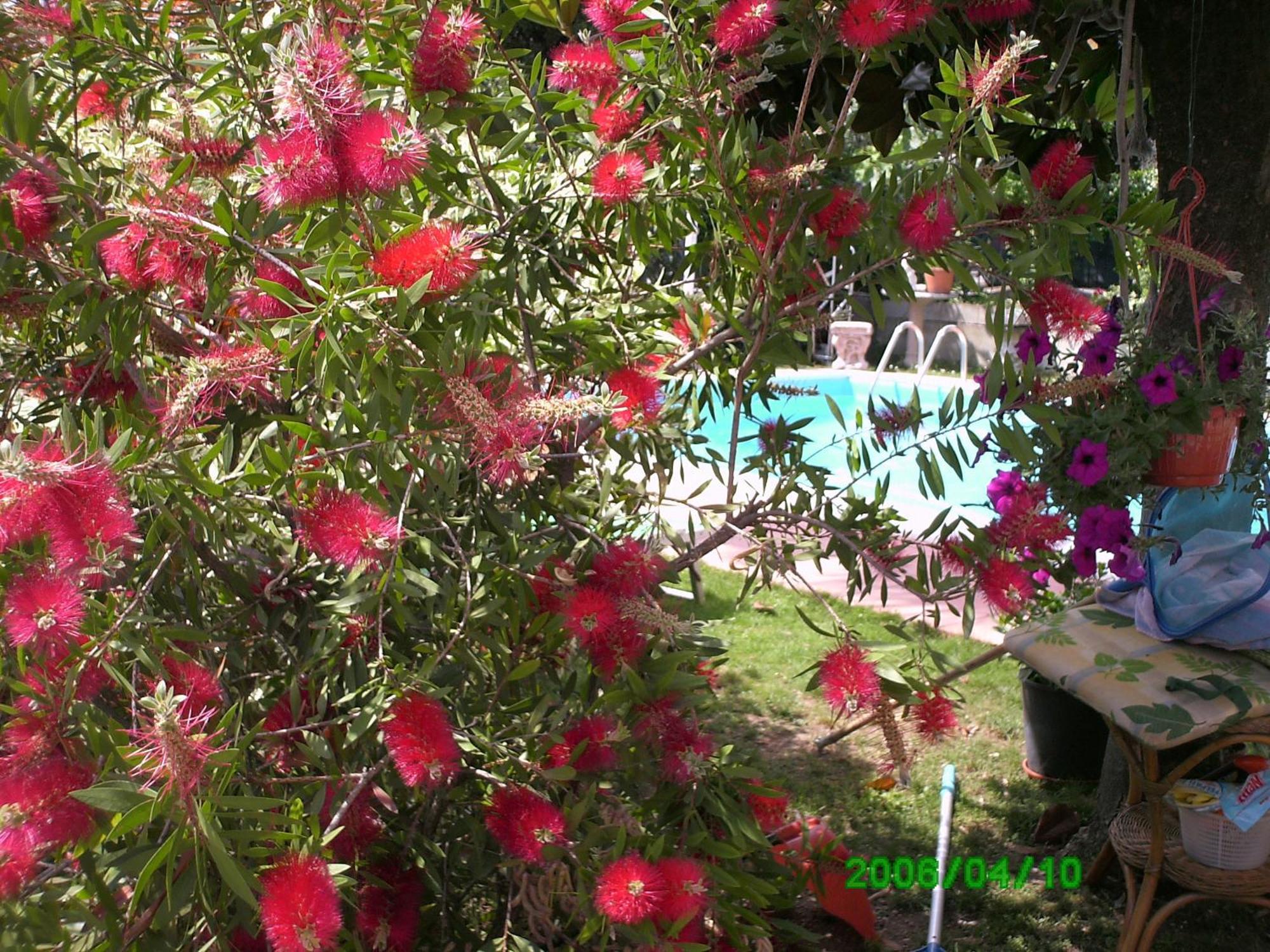 B&B Desenzano เดเซนซาโนเดลการ์ดา ภายนอก รูปภาพ