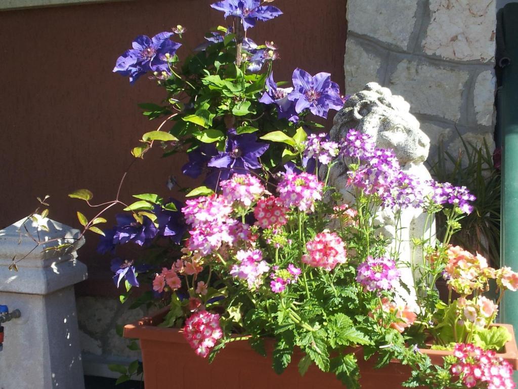 B&B Desenzano เดเซนซาโนเดลการ์ดา ภายนอก รูปภาพ